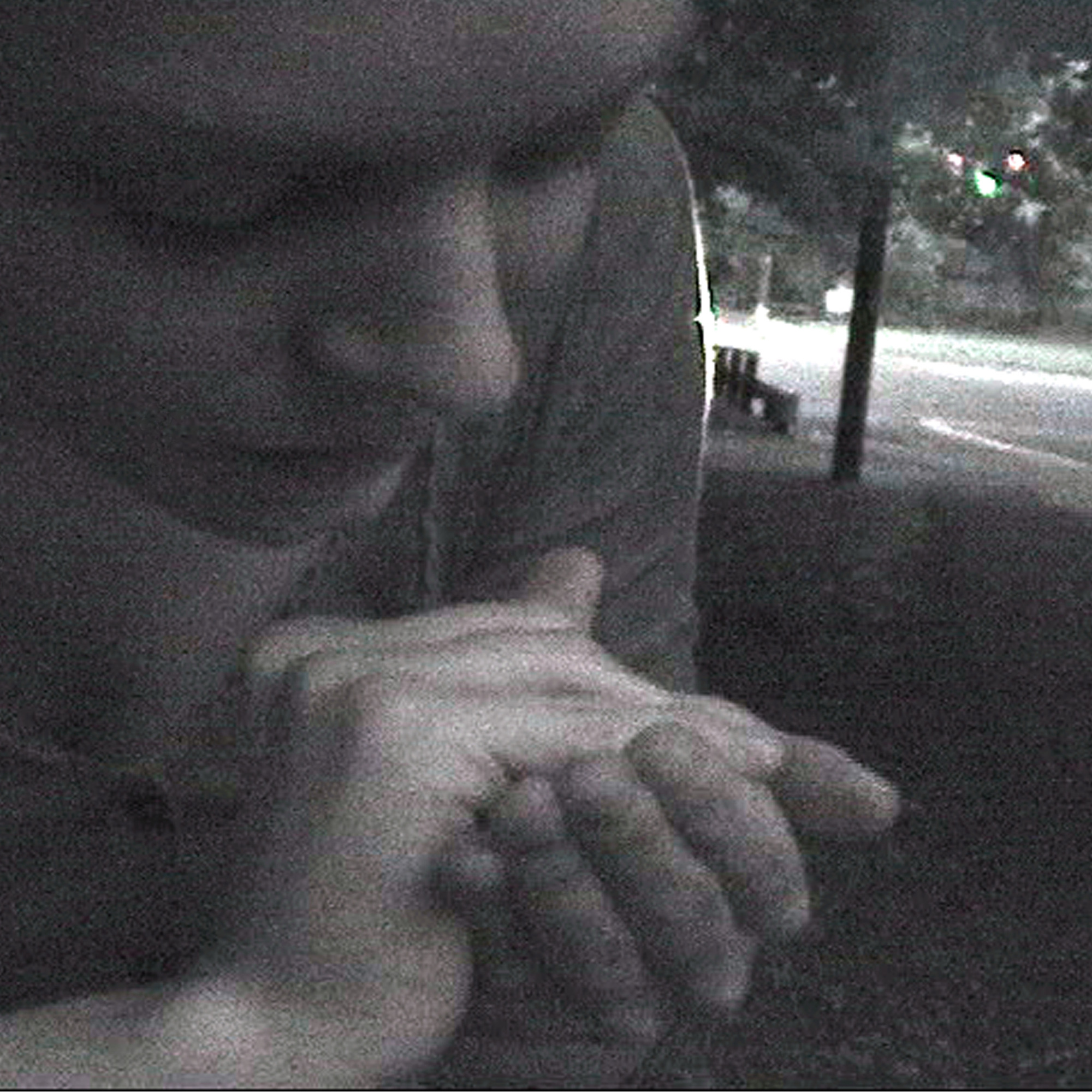 Paradise. 2009. USA. Directed by Michael Almereyda