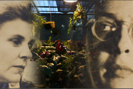 Welcome to This House, a Film on Elizabeth Bishop. 2015. USA. Directed by Barbara Hammer