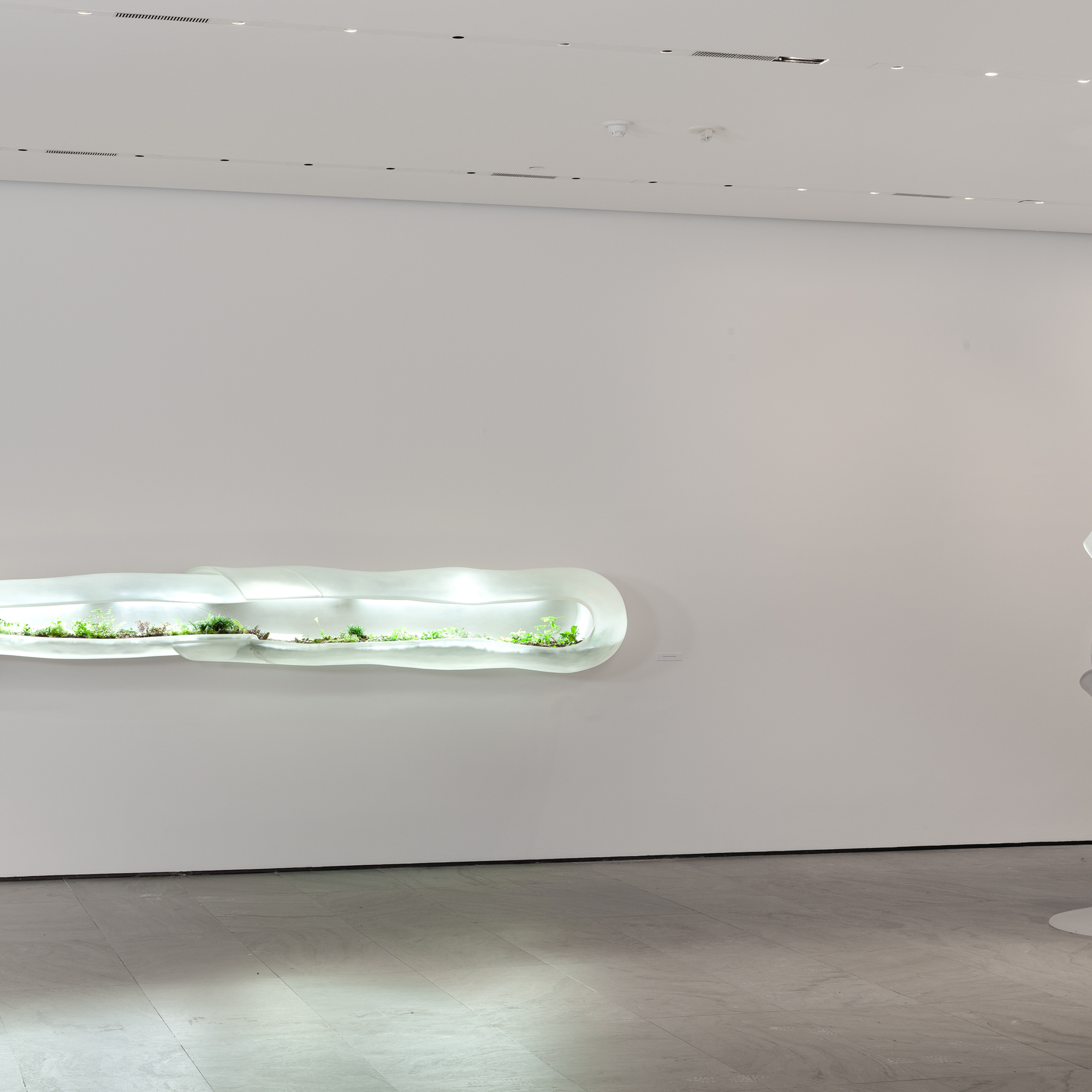 Paula Hayes. Installation view of Nocturne of the Limax maximus (Slug at left. Egg at right) at The Museum of Modern Art. 2010. Installation: cast acrylic, hand-blown glass, cnc-milled topographical wall and ceiling attachment, full-spectrum lighting, and tropical planting. Commissioned by The Museum of Modern Art, New York. Courtesy of the Artist and Marianne Boesky Gallery. © Paula Hayes. Photo: Jason Mandella