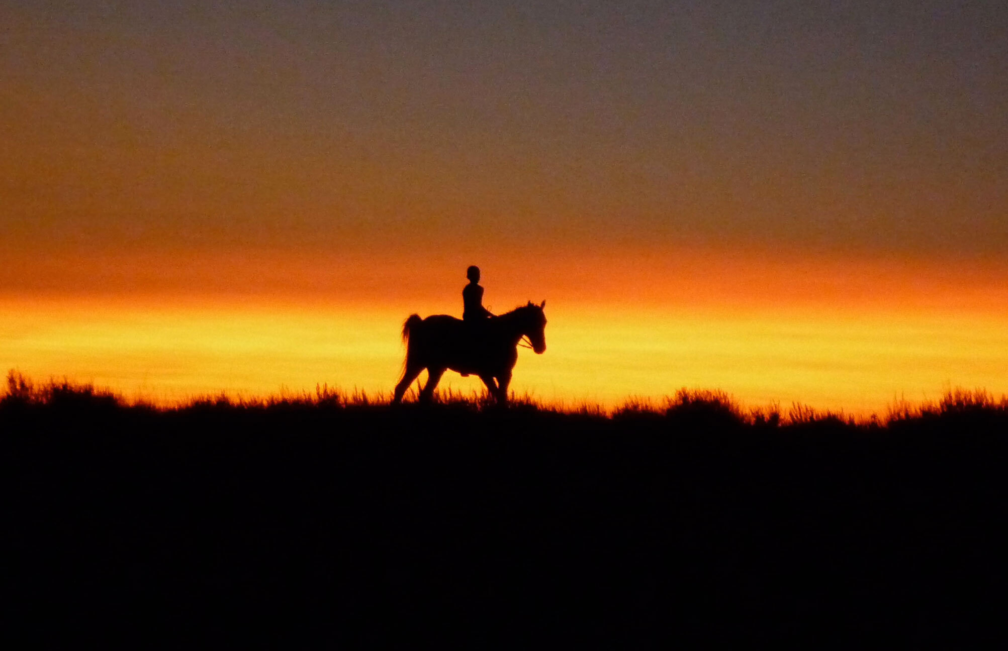 Reel Injun. 2009. Canada. Directed by Neil Diamond. © 2010 Rezolution Pictures/National Film Board of Canada