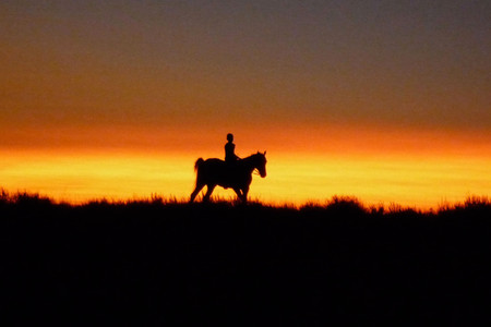 Reel Injun. 2009. Canada. Directed by Neil Diamond. &amp;copy 2010 Rezolution Pictures/National Film Board of Canada