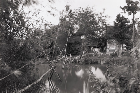 An-My Lê (American, b. Vietnam 1960). Untitled, Mekong Delta. 1994. Gelatin silver print, 15 7/8 × 22 9/16ʺ (40.4 × 57.4 cm). Gift of Pierre N. Leval. © 2016 An-My Lê