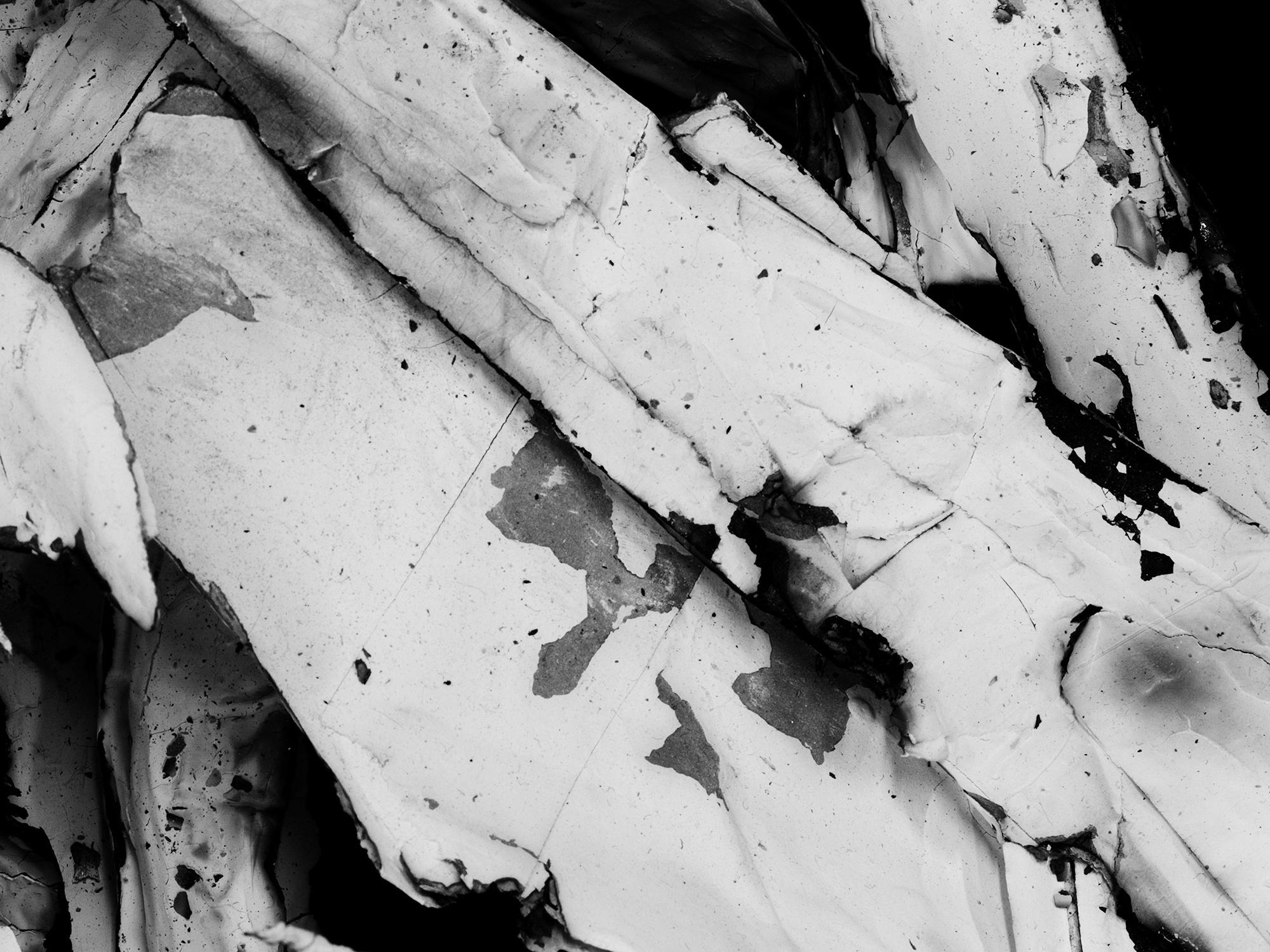 Paul Sietsema. Film still from Figure 3. 2008. 16mm film (black and white and color, silent), 16 min. The Museum of Modern Art. Fund for the Twenty-First Century. © 2009 Paul Sietsema