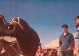 3 Ring Circus. 1955. USA. Directed by Joseph Pevney. Courtesy Paramount Pictures