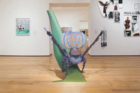 Installation view of Ocean of Images: New Photography 2015. The Museum of Modern Art, New York, November 7, 2015–March 20, 2016. © 2016 The Museum of Modern Art. Photo: Thomas Griesel