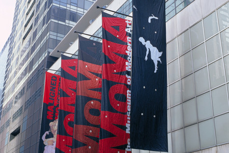 Installation view of Projects 70: Janine Antoni, Shahzia Sikander, Kara Walker (Banners, Series 3). Photo: John Wronn