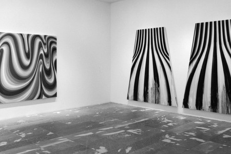 Installation view of Projects 63: Karin Davie, Udomsak Krisanamis, Bruce Pearson, Fred Tomaselli. The Museum of Modern Art. Photo: Thomas Griesel