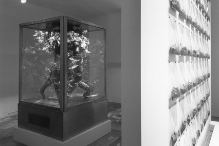 Installation view of Projects 57: Bul Lee/Chie Matsui at The Museum of Modern Art, New York. Photo: Erik Landsberg