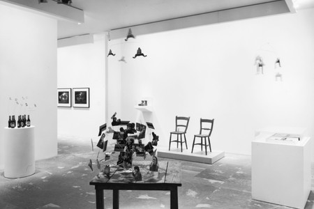 Installation view of Projects 44: Sarah Lucas and Steven Pippin at The Museum of Modern Art, New York. Photo: Mali Olatunji