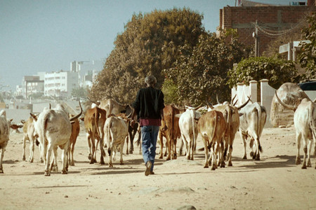 A Thousand Suns. 2013. France. Directed by Mati Diop