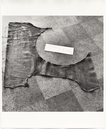Painting to be Stepped On