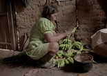 Rio Verde: El tiempo de los Yakurunas. 2017. Peru. Directed by Alvaro Sarmiento, Diego Sarmiento. Courtesy of Alvaro Sarmiento