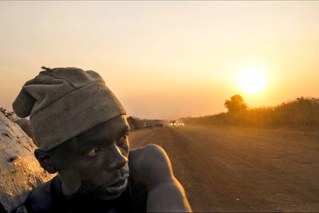 Makala. 2017. France. Directed by Emmanuel Gras. Courtesy of Les Films du Losange