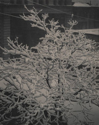 Alfred Stieglitz. Out of the Window “291.” April 2, 1915