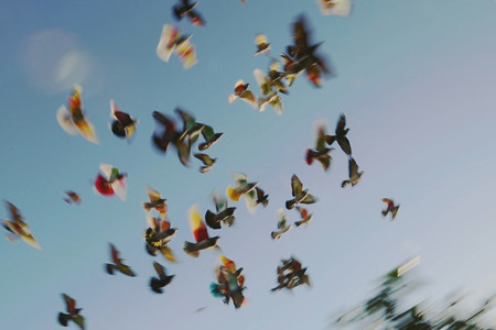 Elena López Riera. Los que desean (Those Who Desire). 2018. Digital video, 24 min. Image courtesy of Elena López Riera