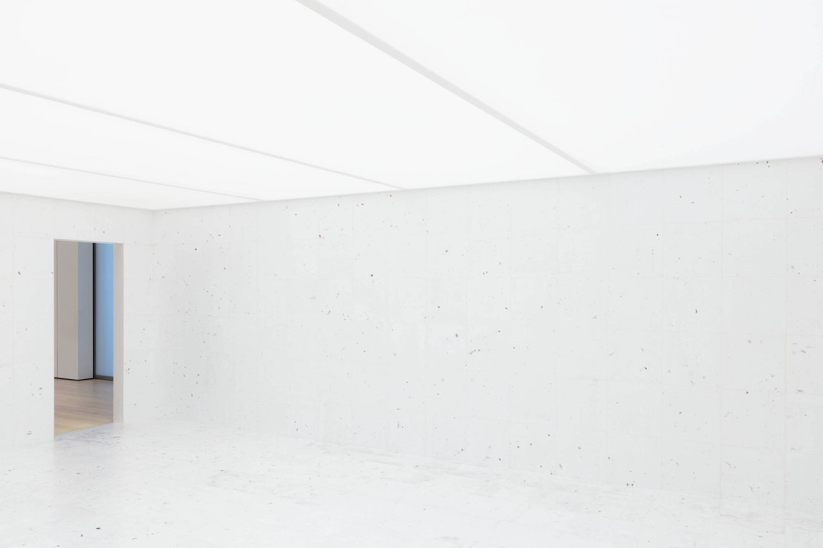 Rivane Neuenschwander. Work of Days. 1998
