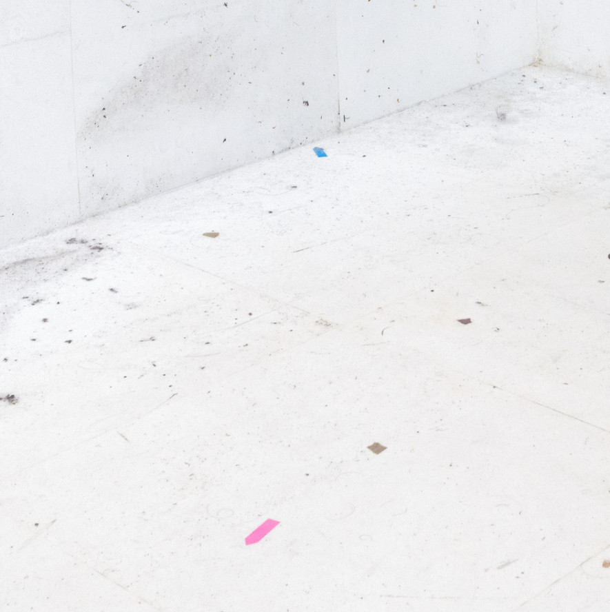 Rivane Neuenschwander. Work of Days (detail). 1998. Photo: Alejandro Merizalde