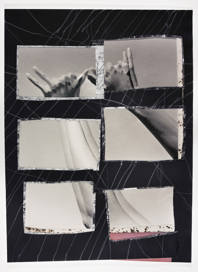 Dionne Lee. True North. 2019