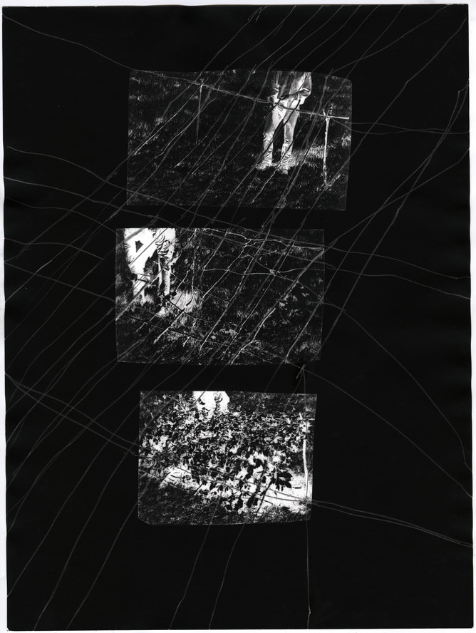 Loose Structure. 2019