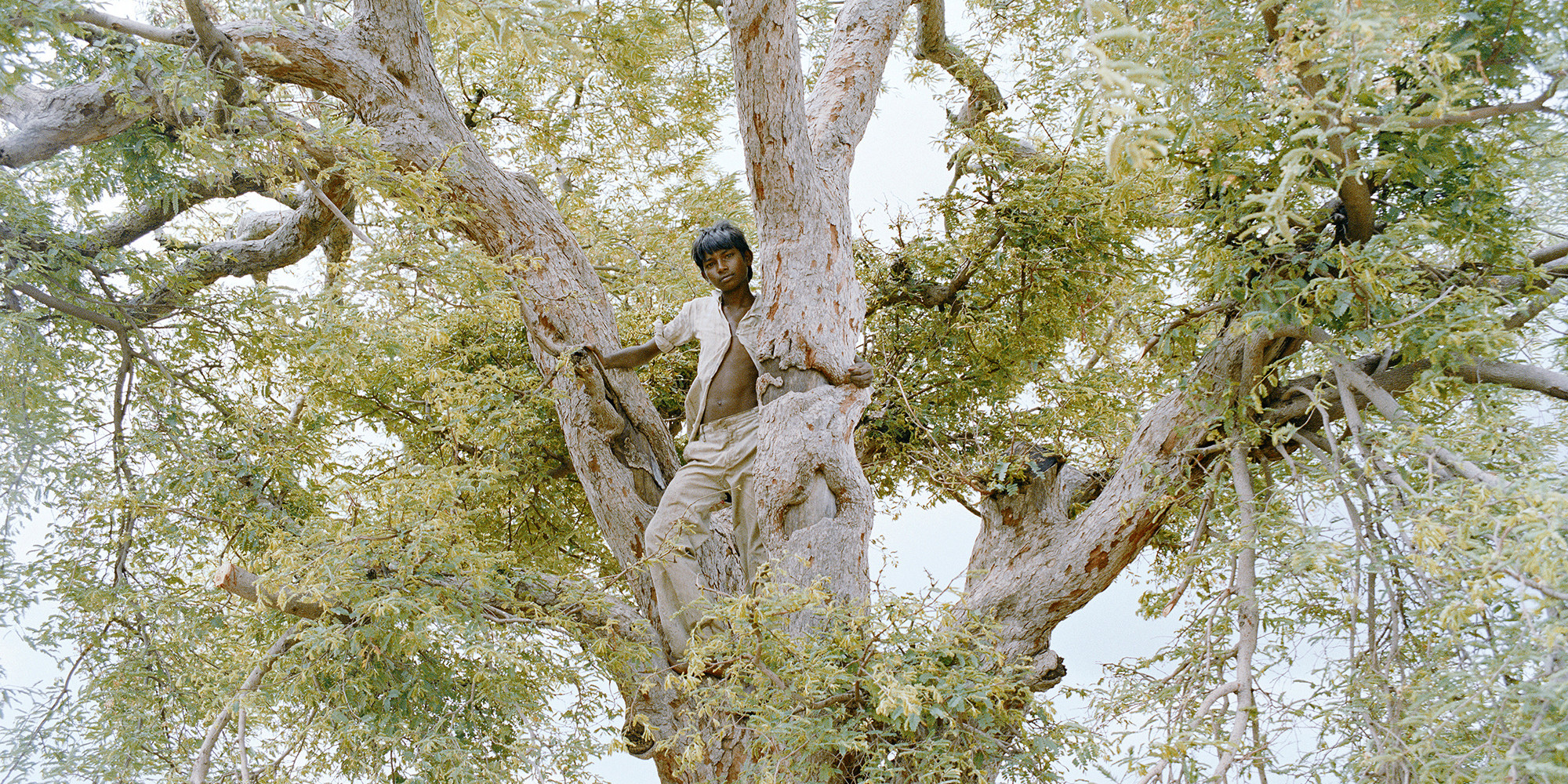 Sohrab Hura. Untitled from the series The Song of Sparrows in a Hundred Days of Summer. 2013–ongoing. Pigmented inkjet print, image: 5 1/2 × 7" (14 × 17.8 cm); sheet: 15 1/2 × 11" (39.4 × 27.9 cm). Courtesy the artist and Experimenter, Kolkata. © Sohrab Hura