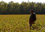 Homegoings. 2013. Directed by Christine Turner. Courtesy the artist