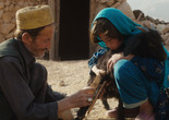 Wolf and Sheep. 2017. Directed by Shahrbanoo Sadat. Courtesy of Virginie Surdej/Adomeit Film
