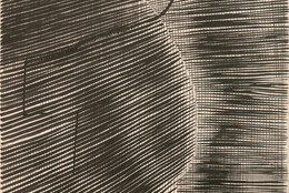 Gego (Gertrud Goldschmidt). Untitled. 1963. Ink on paper, 30 × 22&#34; (76.2 × 55.9 cm). The Museum of Modern Art, New York. Committee on Drawings Funds. © 2021 Fundación Gego