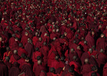 Dark Red Forest. 2021. China. Directed by Jin Huaqing. Courtesy Autlook Filmsales