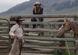 Bitterbrush. 2021. USA. Directed by Emelie Mahdavian. Courtesy the filmmaker