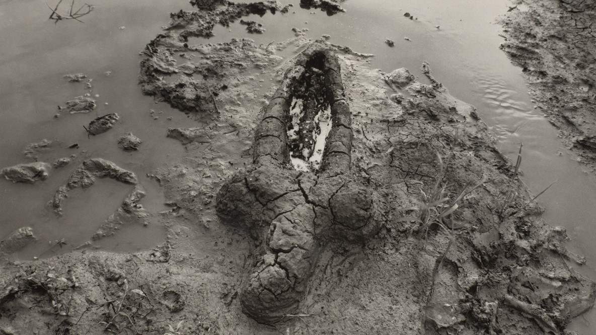 Ana Mendieta. Birth (Gunpowder Works). 1981. Gelatin silver print, 7 3/16 × 9 1/2&#34; (18.3 × 24.1 cm). Gift of Helen Kornblum in honor of Roxana Marcoci. © 2021 Estate of Ana Mendieta Collection