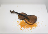Victor Grippo. Life, Death, Resurrection. 1980. Lead, violin, wood, beans, and corn. The Museum of Modern Art, New York. Latin American and Caribbean Fund and purchase Image description: A horizontally oriented installation photograph of a ruptured violin filled with dried kernels of yellow corn spilling out and scattered on a white pedestal.
