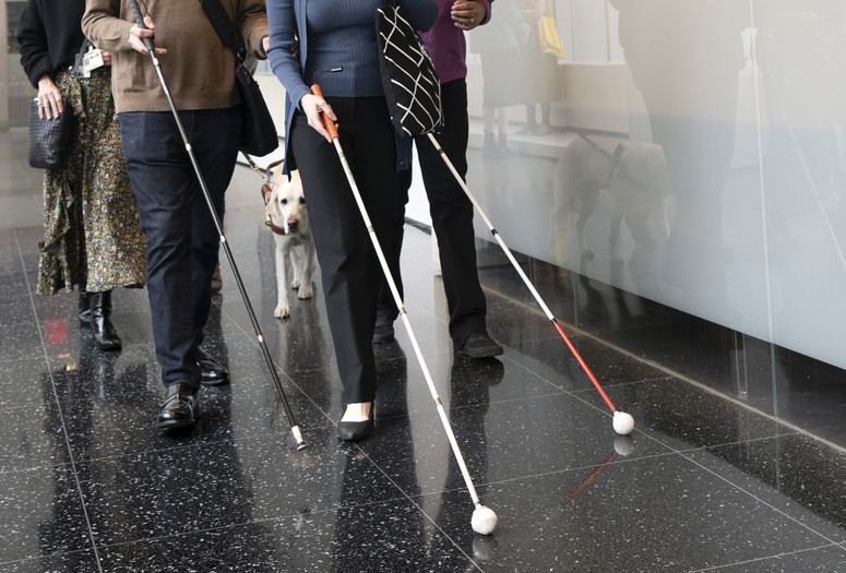 Photo: Martin Seck Image description: Cropped photo of three people walking with navigation canes down a hallway with a black marbled floor and a reflective glass wall. Each cane is different—the leftmost is black with a small tip, the middle is white with a large white ball tip and an orange handle, and the rightmost is white and red with a large white ball tip. Behind the group are a few more people and a pale yellow dog in a harness.