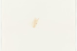 Rose Petal (American Beauty) from Stains