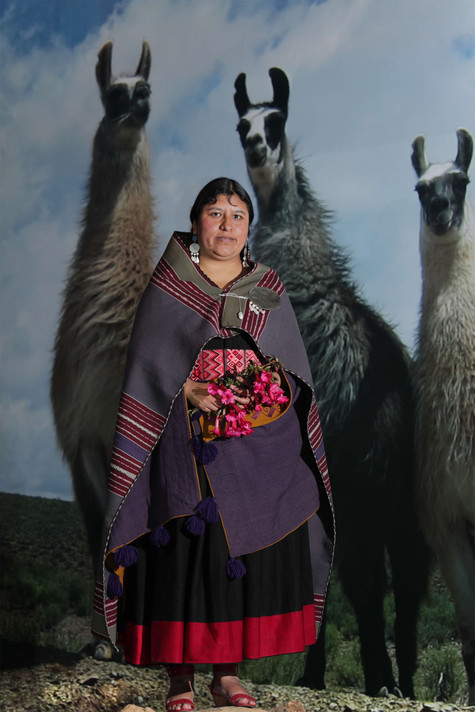 Elvira Espejo Ayca, 2019