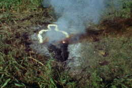 Ana Mendieta. Untitled: Silueta Series. 1978. Super 8mm film transferred to video (color, silent), 3:14 min. © 2024 The Estate of Ana Mendieta Collection, LLC/Licensed by Artists Rights Society (ARS), New York