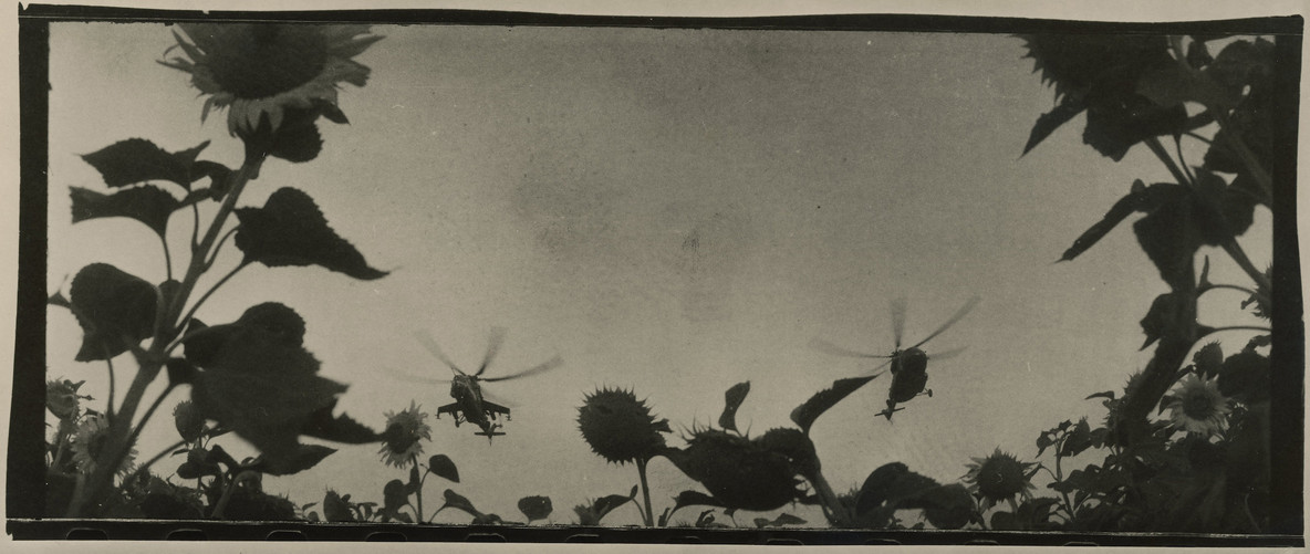 Vlad Krasnoschok. Untitled photograph. 2022
