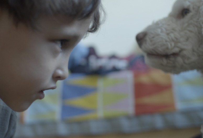 Šedá zóna (Grey Zone). 2024. Slovakia. Directed by Daniela Meressa Rusnoková