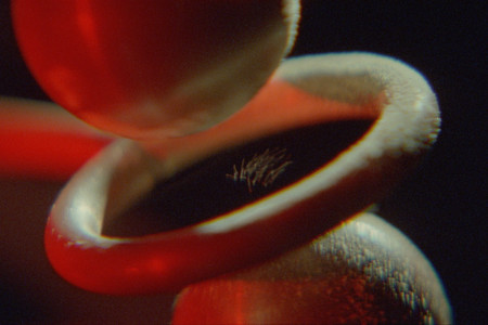 Rosa Barba. Charge. 2025. 35mm film (color, sound), 25:33 min. Co-commissioned by The Museum of Modern Art, New York, and The Vega Foundation, Toronto. ©️ Rosa Barba