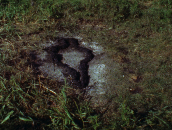 Ana Mendieta. Untitled: Silueta Series. 1978. Film