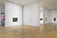 Joan Miró: Painting and Anti-Painting 1927–1937. Nov 2, 2008–Jan 12, 2009. 1 other work identified