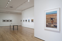Into the Sunset: Photography’s Image of the American West. Mar 29–Jun 8, 2009. 2 other works identified