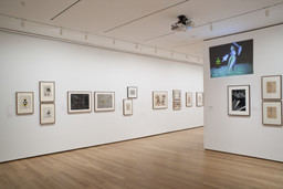 Installation photo, 7 of 20
