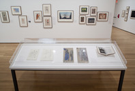 Stage Pictures: Drawing for Performance. Mar 11–Sep 7, 2009. 11 other works identified