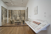 In &amp; Out of Amsterdam: Travels in Conceptual Art, 1960–1976. Jul 19–Oct 5, 2009.