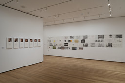 Installation photo, 15 of 21