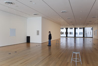 Bruce Nauman: Days. Jun 2–Aug 23, 2010.