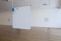 Bruce Nauman: Days. Jun 2–Aug 23, 2010.