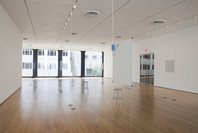 Bruce Nauman: Days. Jun 2–Aug 23, 2010.