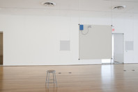 Bruce Nauman: Days. Jun 2–Aug 23, 2010.