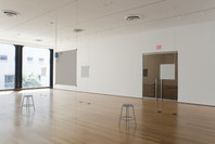 Bruce Nauman: Days. Jun 2–Aug 23, 2010.